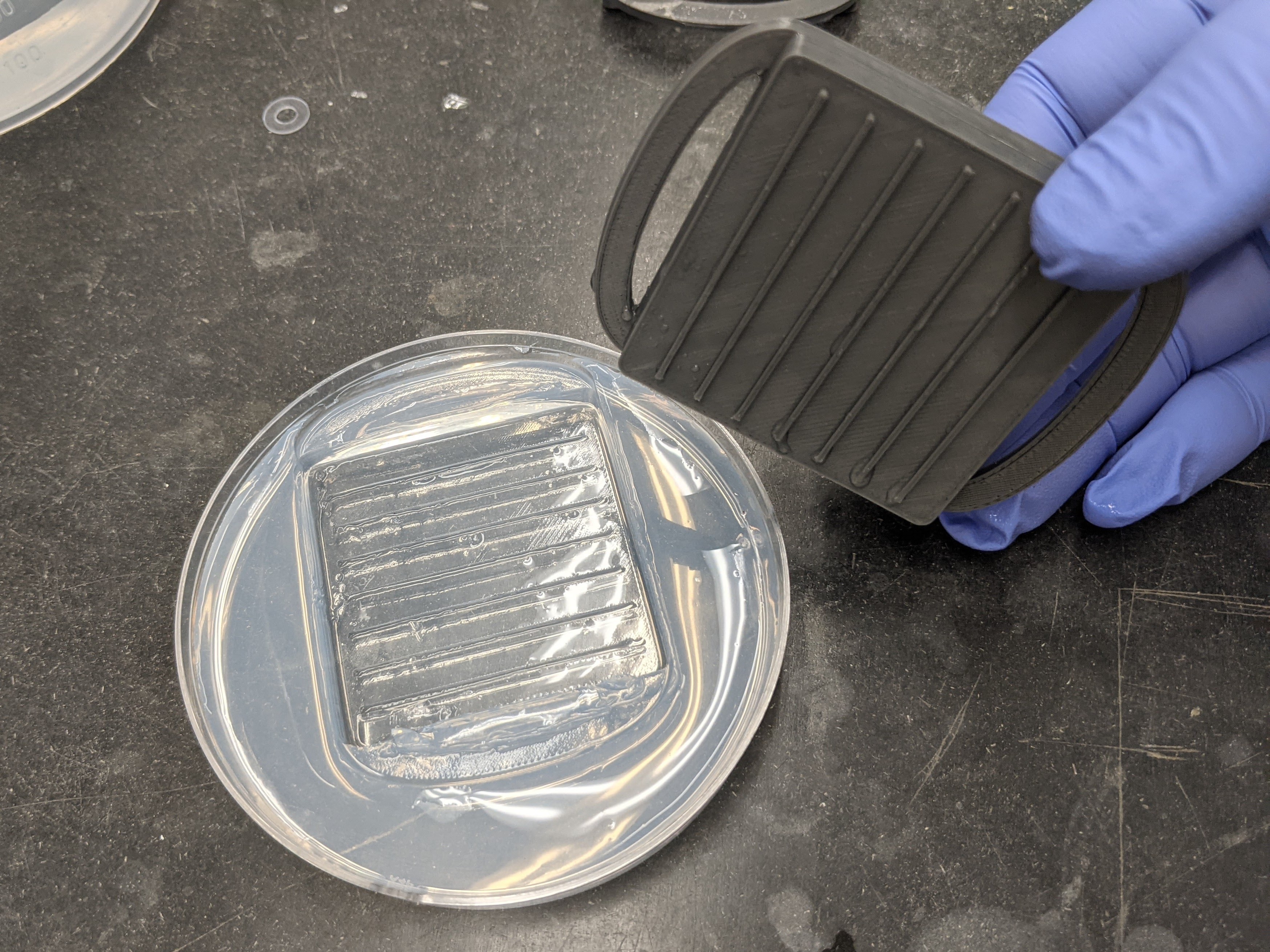 The mold can be repetitively used to imprint an agarose plate
