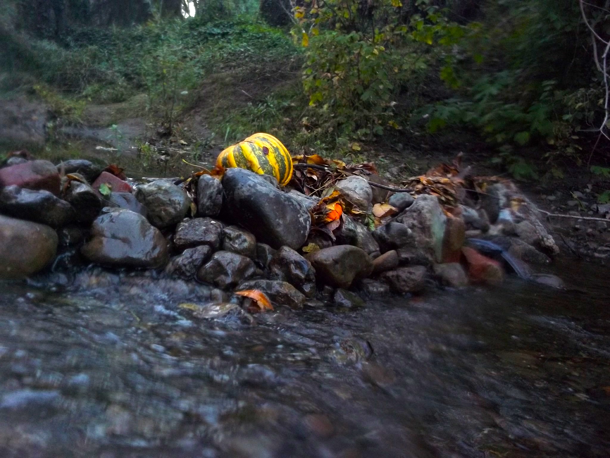 The San Francisquito Creek Dam