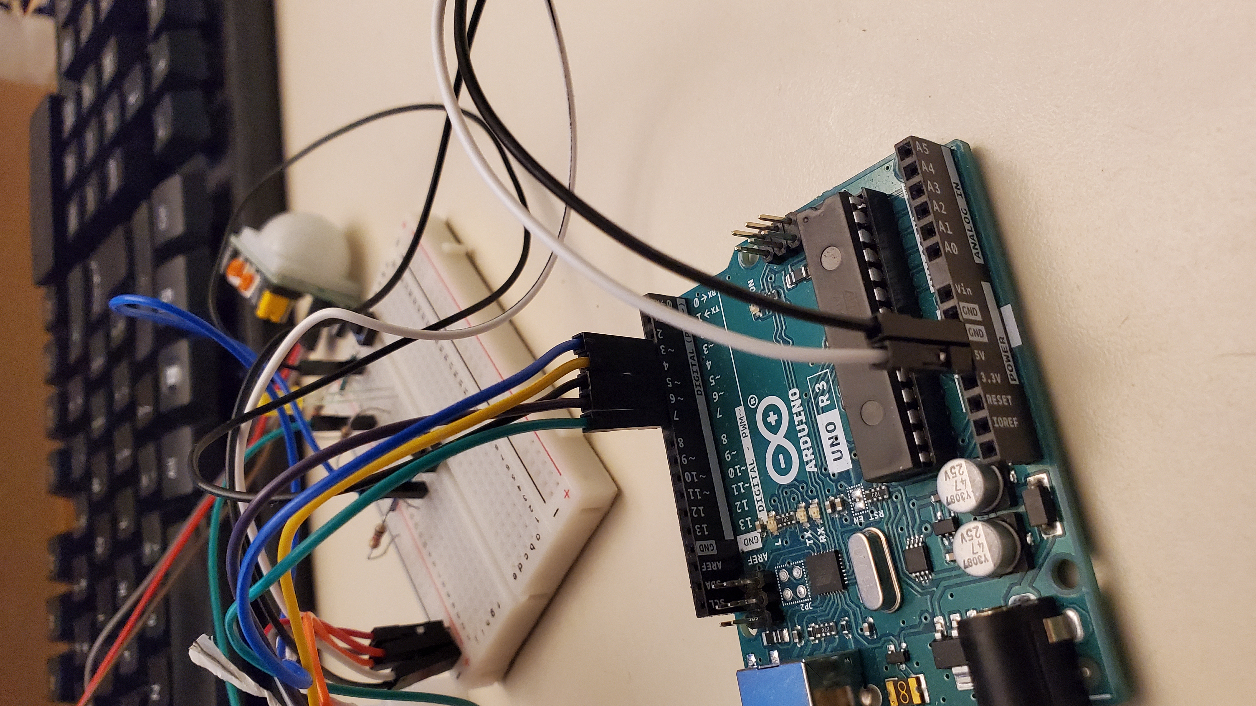 The initial wiring of the device