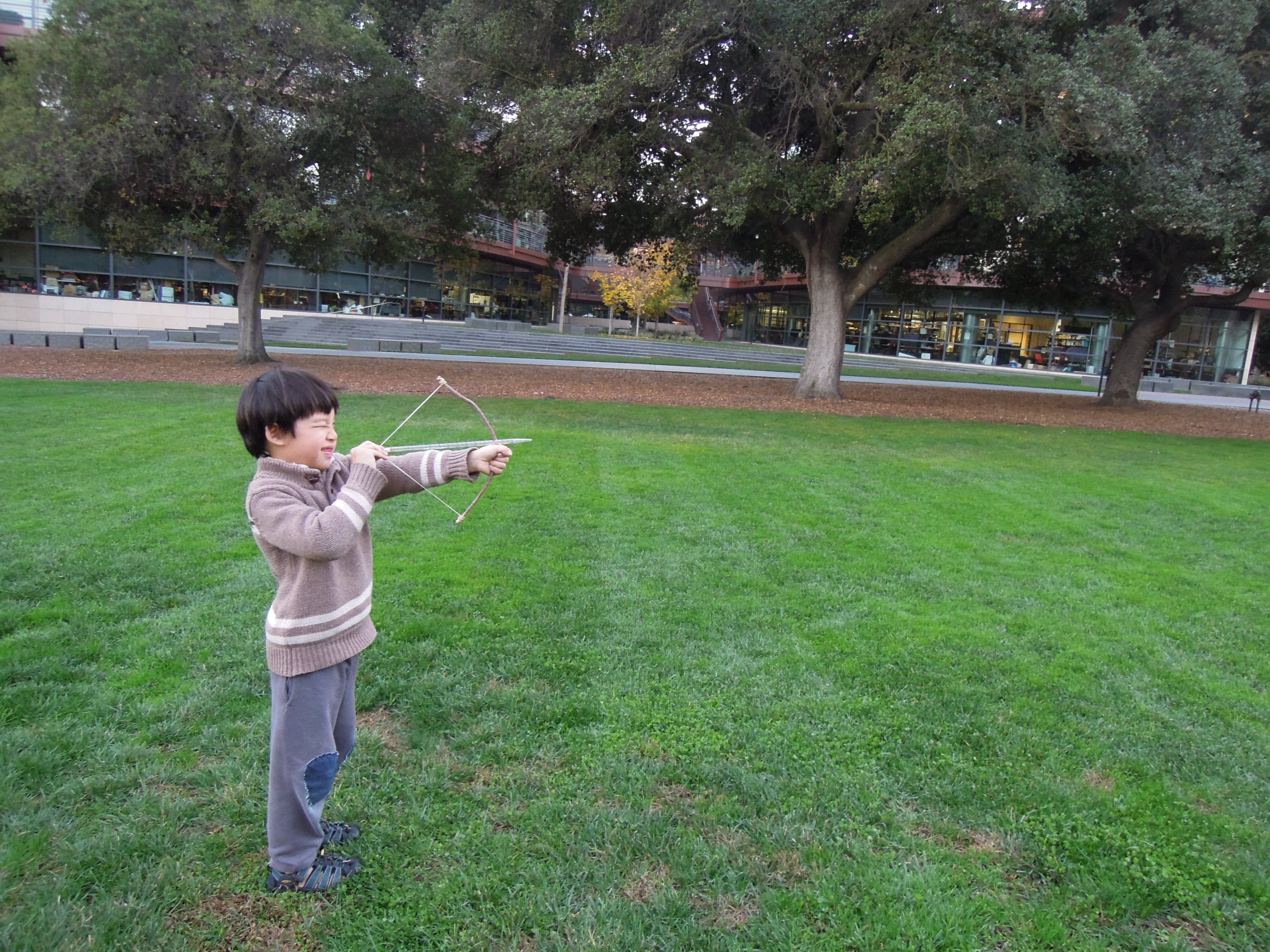  A homemade bow with tree branch