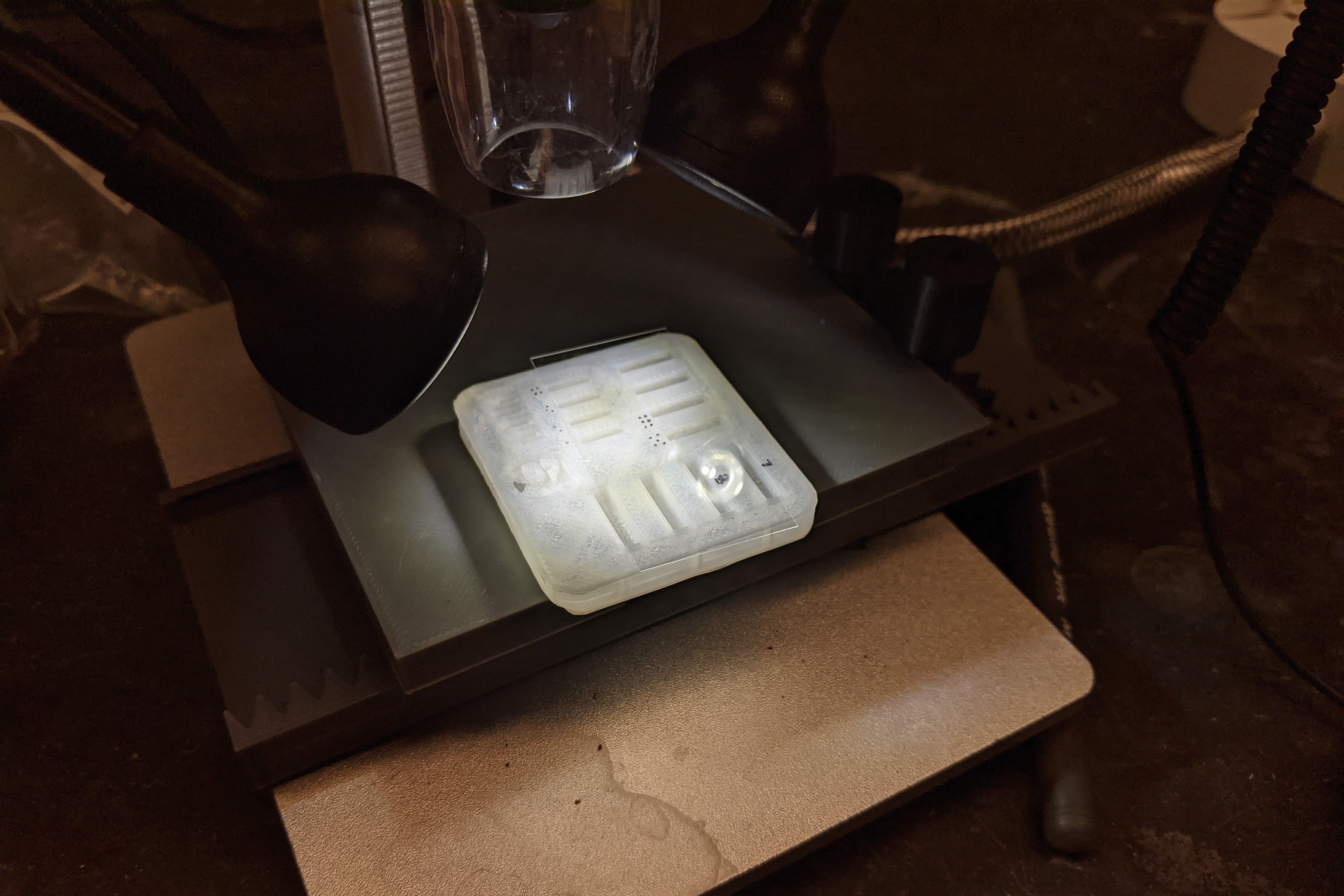 The specialized plate for measuring length of newly hatched fish