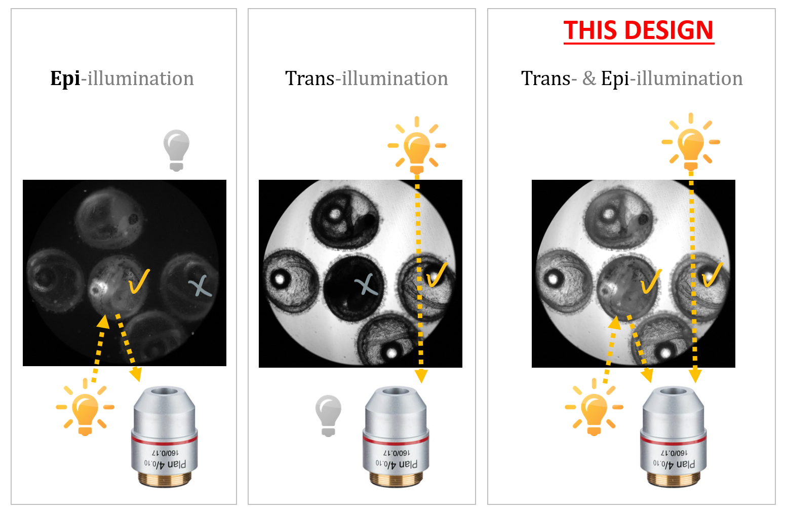 This design allows both epi- and trans-illuminiations at the same time